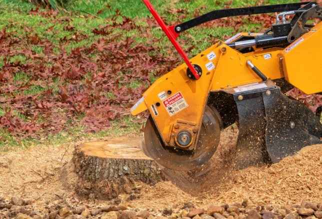 The Benefits of Professional Stump Grinding