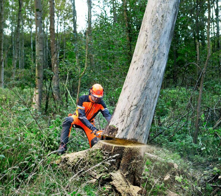 Images Working with chainsaws, part 2