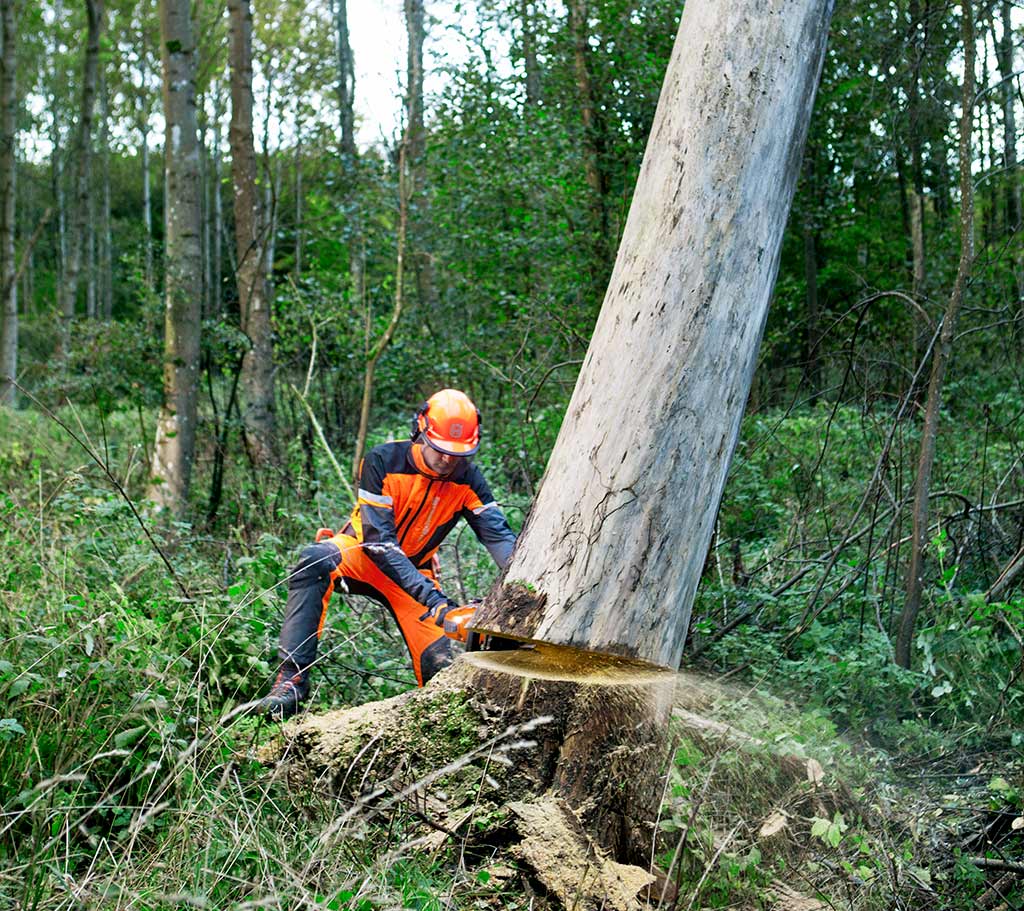 Images Working with chainsaws, part 2